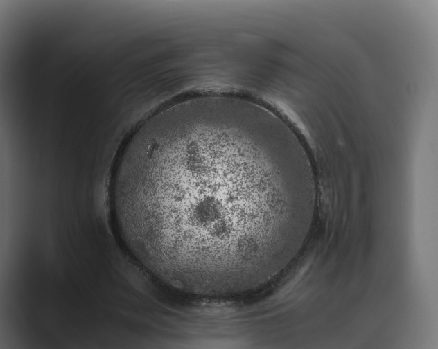 X0000089710487200706281515