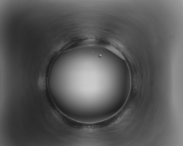 X0000089710489200706281515