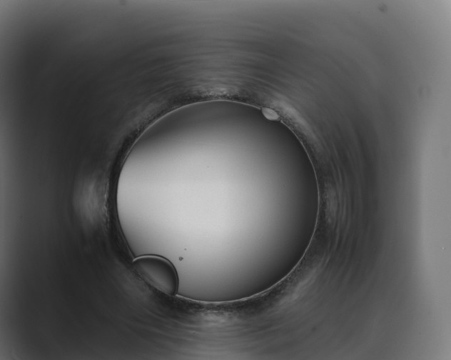 X0000089710490200706281515