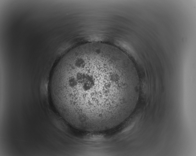 X0000089710491200706281515