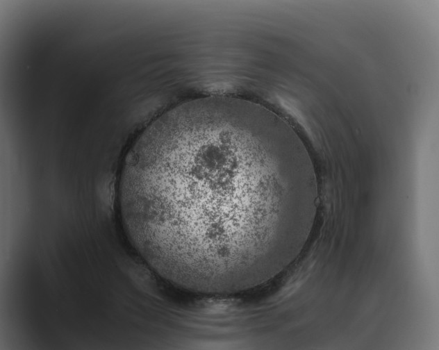 X0000089710495200706281515