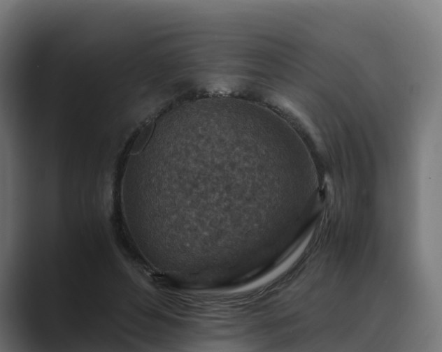 X0000089710496200706281515