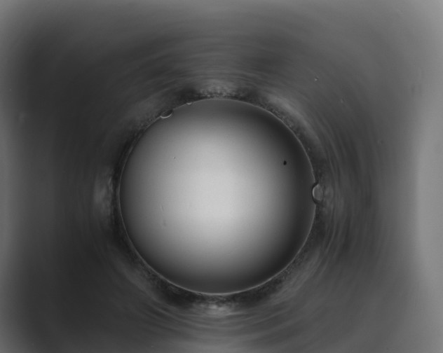 X0000089710498200706281515