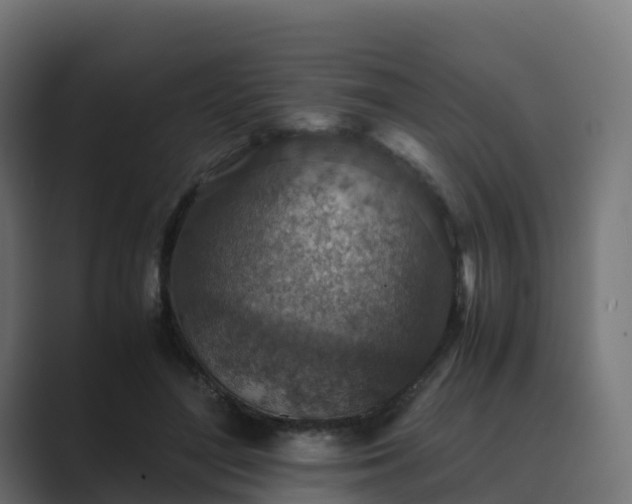 X0000089710500200706281515