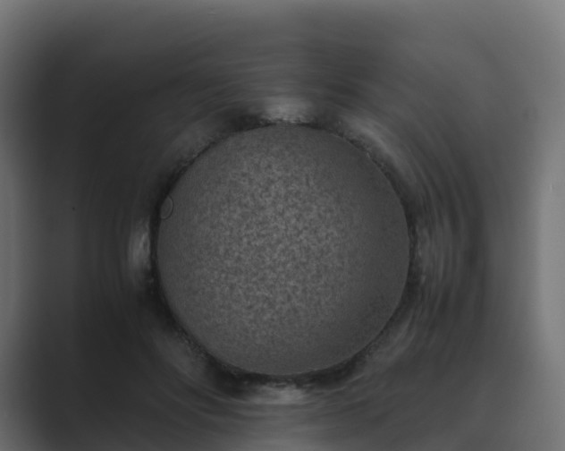 X0000089710502200706281515