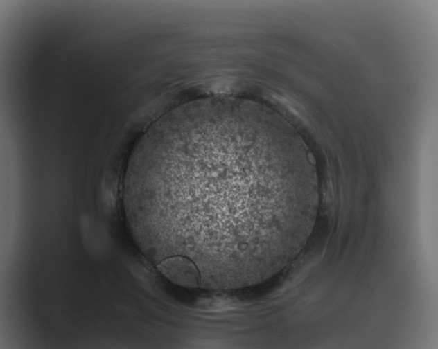 X0000089710503200706281515