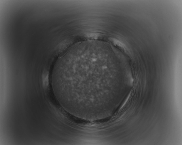 X0000089710504200706281515