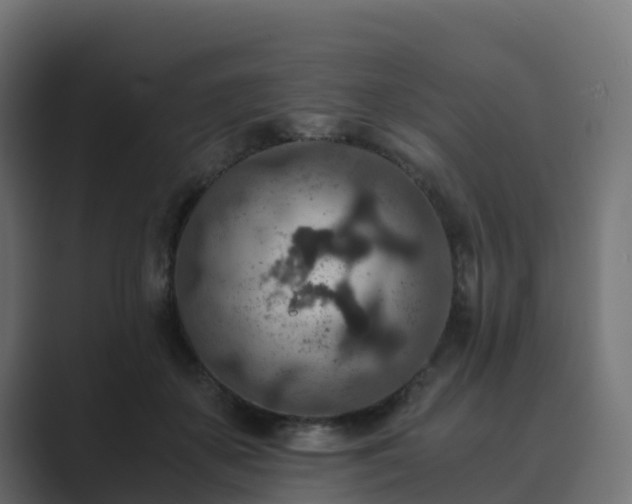 X0000089710507200706281515