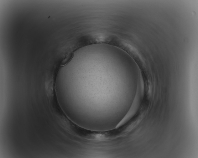 X0000089710509200706281515