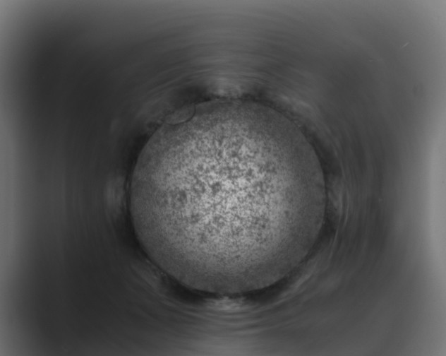 X0000089710511200706281515