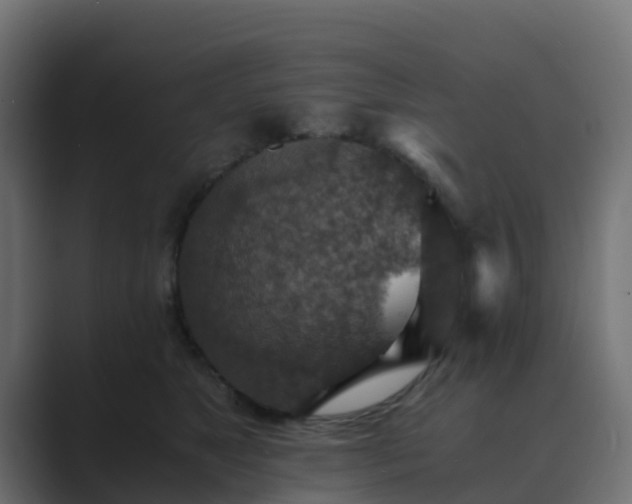 X0000089710517200706281515