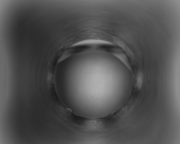 X0000089710521200706281514