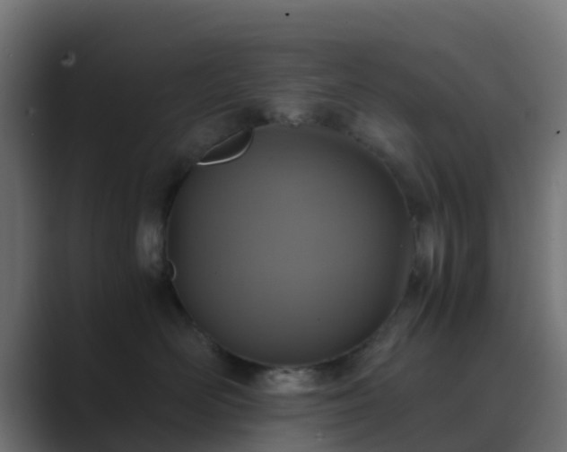 X0000089710526200706281514