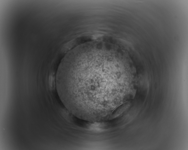 X0000089710527200706281514