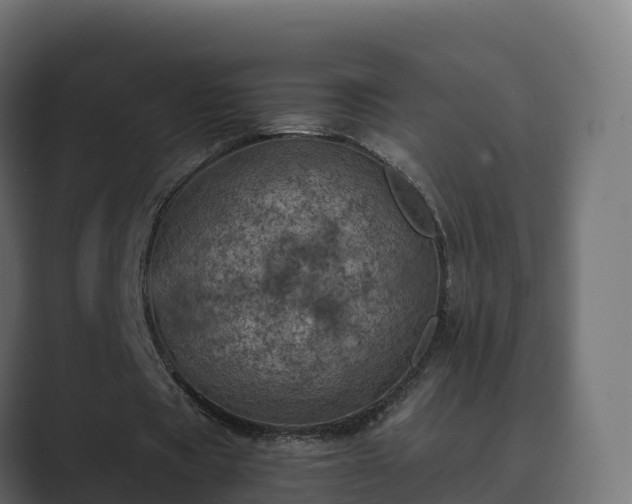 X0000089710529200706281514