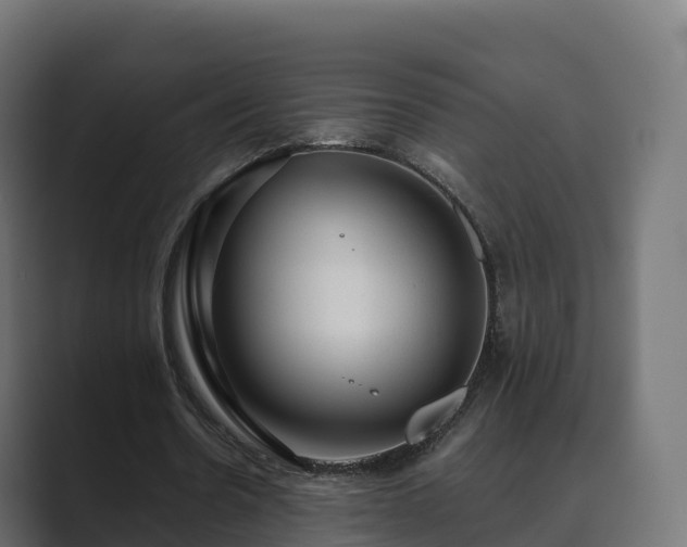 X0000089710530200706281514