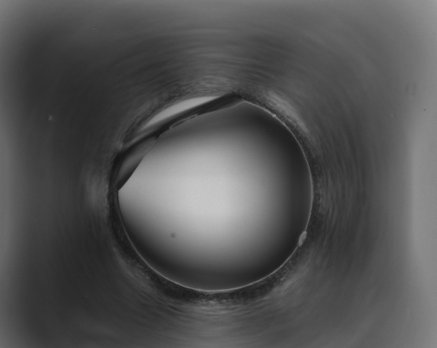 X0000089710538200706281514