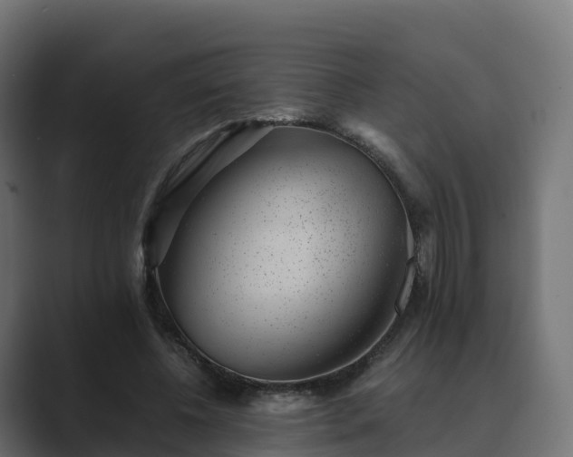 X0000089710540200706281514