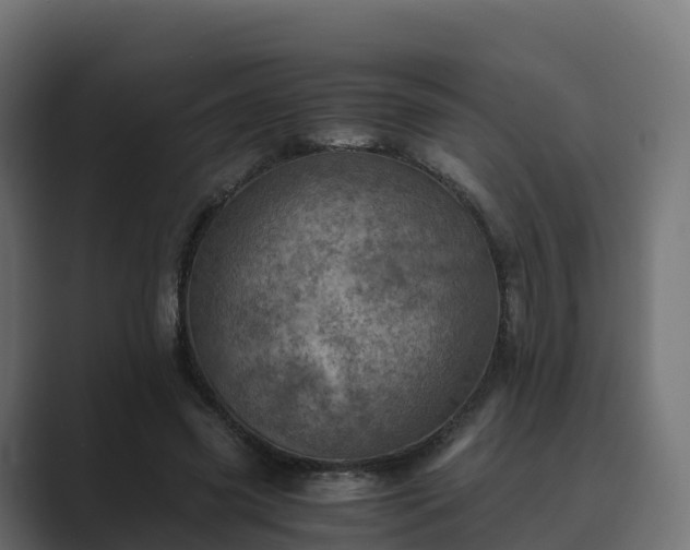 X0000089710541200706281514