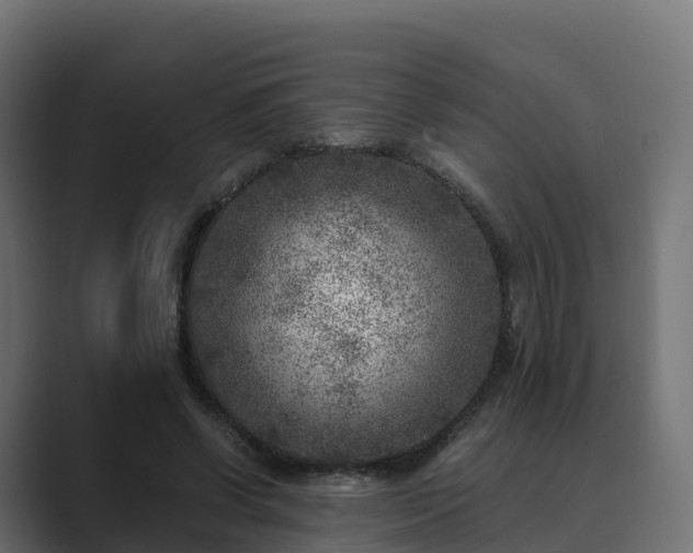 X0000089710542200706281514