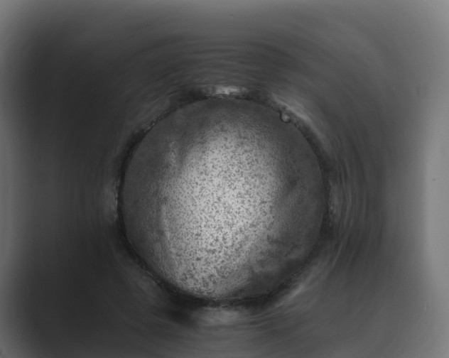 X0000089710545200706281514