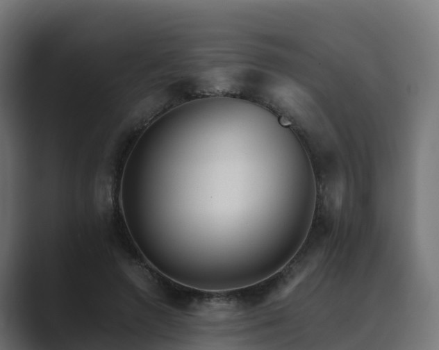 X0000089710546200706281514