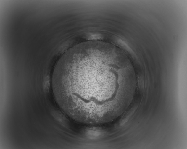 X0000089710549200706281514