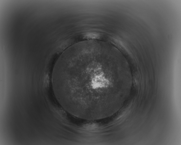 X0000089710551200706281514