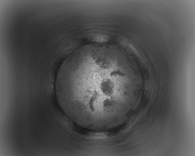 X0000089710553200706281514