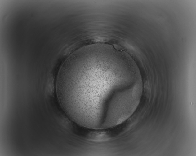 X0000089710554200706281514