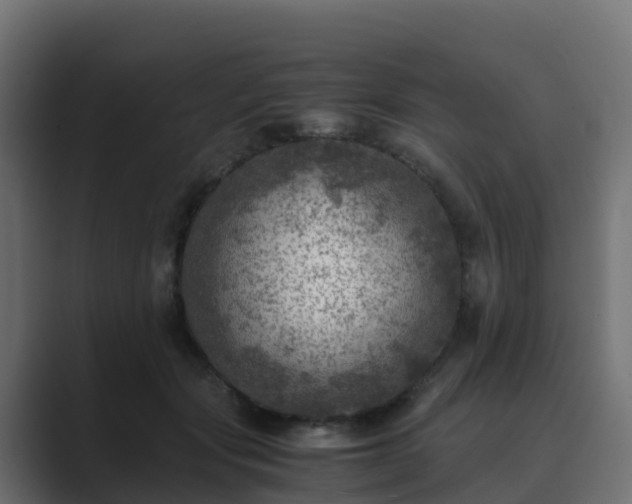 X0000089710557200706281514