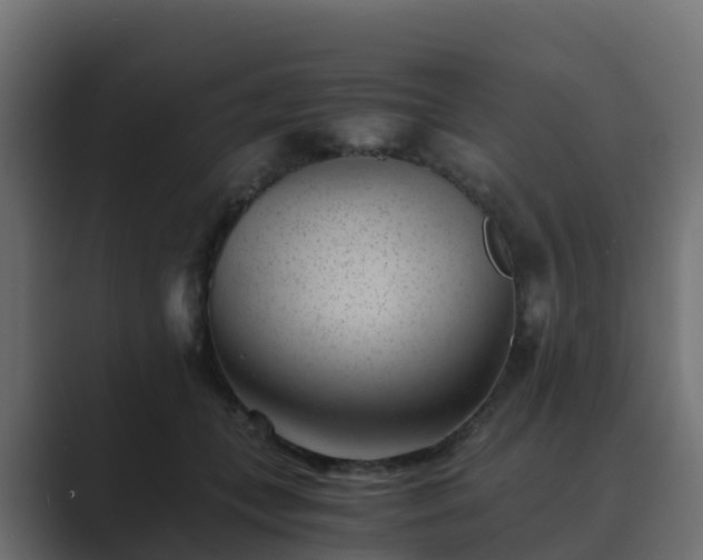 X0000089710559200706281514