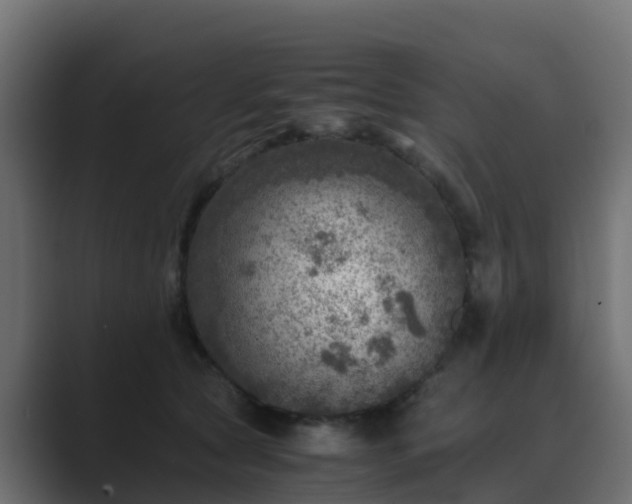 X0000089710561200706281514