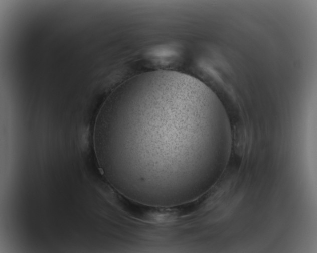 X0000089710563200706281514