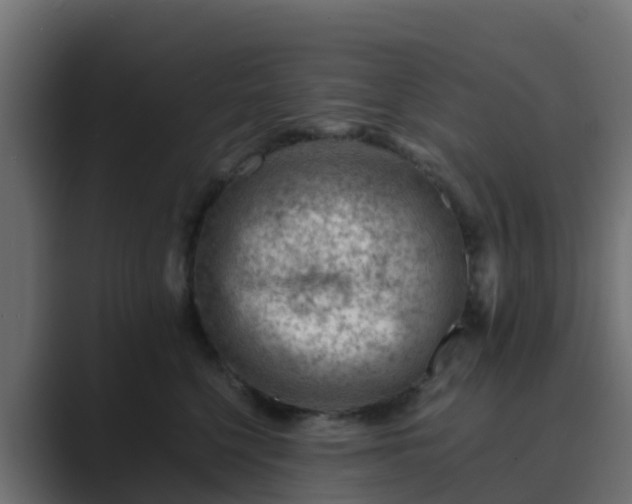 X0000089710568200706281514