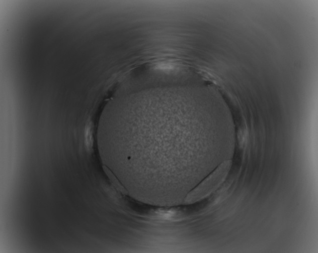 X0000089710570200706281514