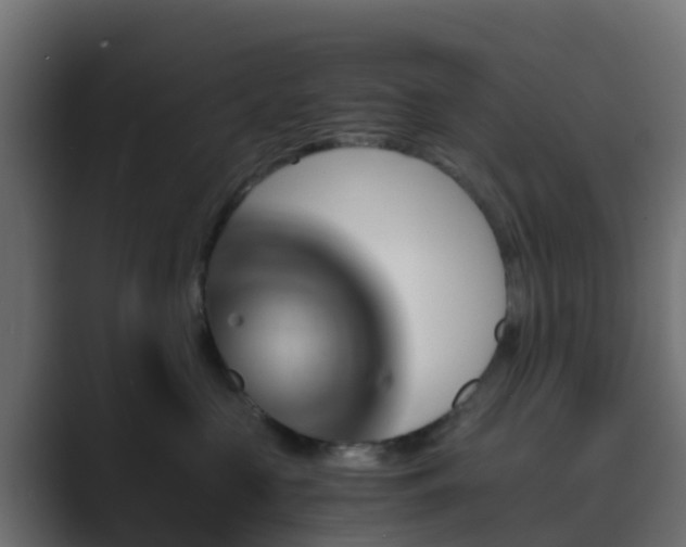 X0000089710573200706281514