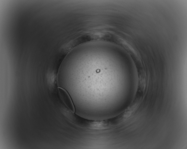 X0000089710574200706281514