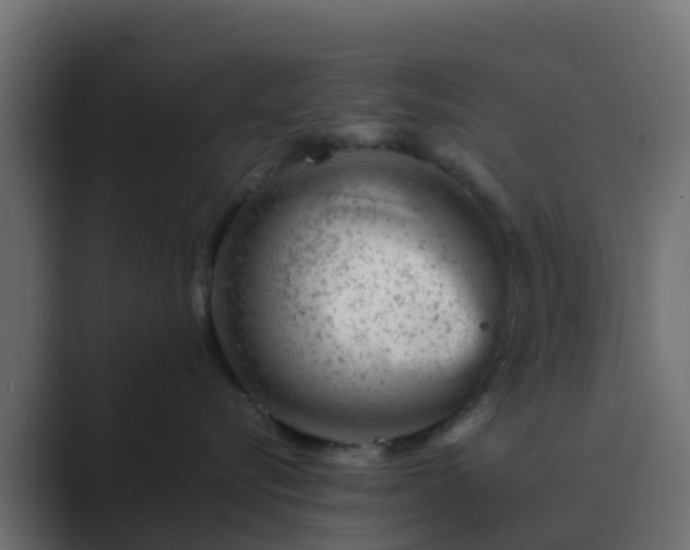 X0000089710576200706281514