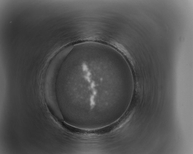 X0000089710577200706281514