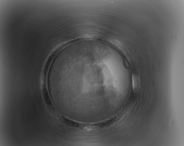 X0000089710579200706281514