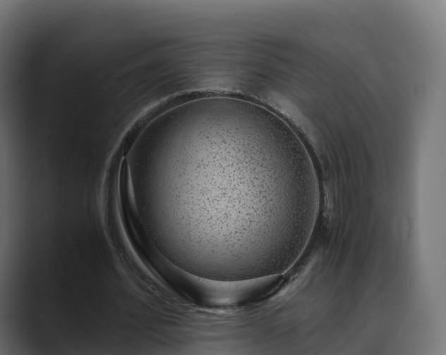 X0000089710580200706281514