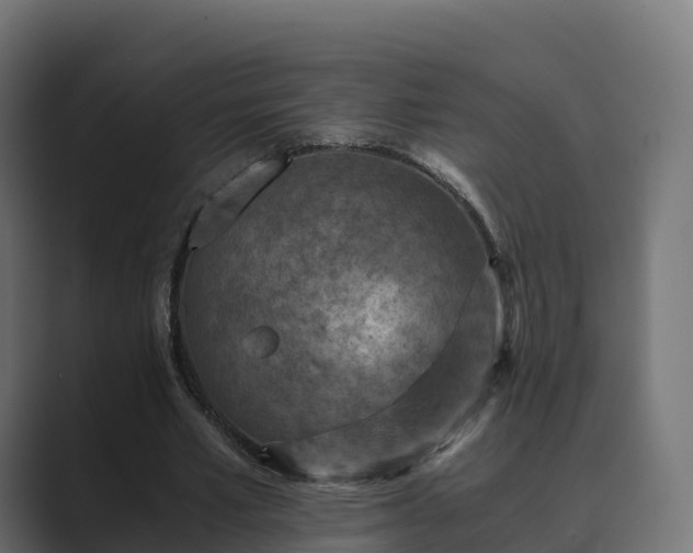 X0000089710581200706281514