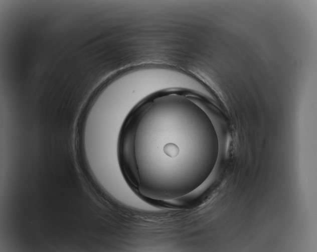 X0000089710584200706281514