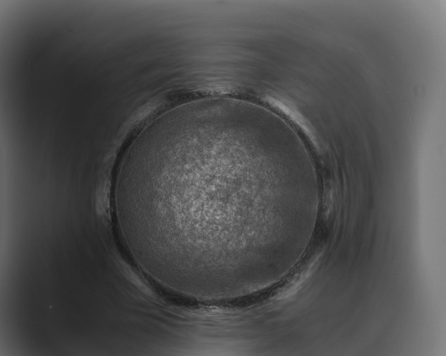 X0000089710585200706281514