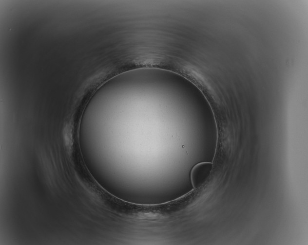 X0000089710586200706281514