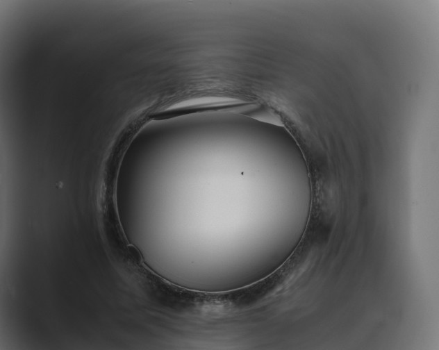 X0000089710587200706281514