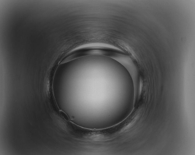 X0000089710589200706281514