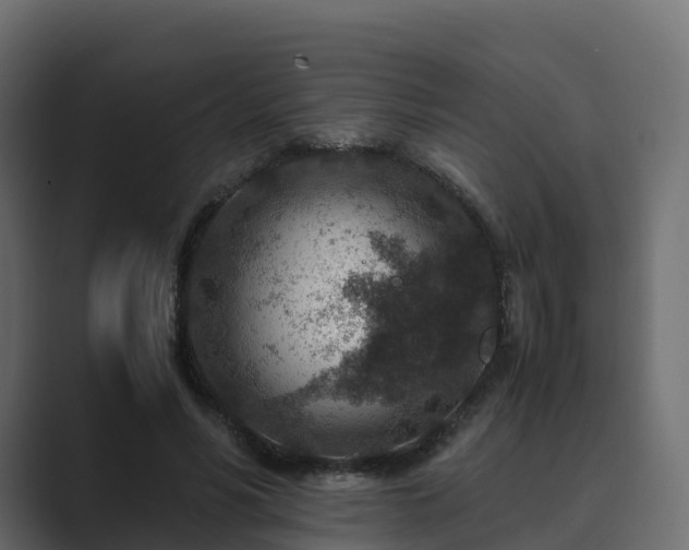 X0000089710590200706281514