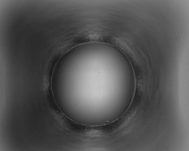 X0000089710593200706281514